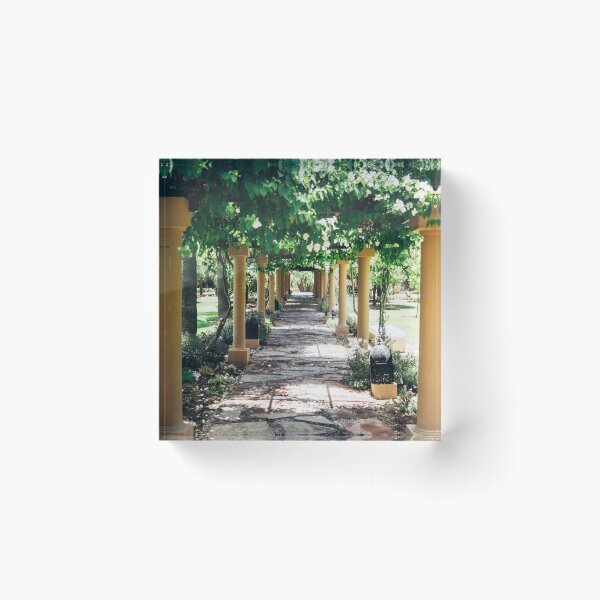 Item preview, Garden Path With Trees designed and sold by ppolecho.