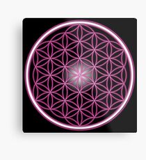 The Pink Flower of Life Metal Print