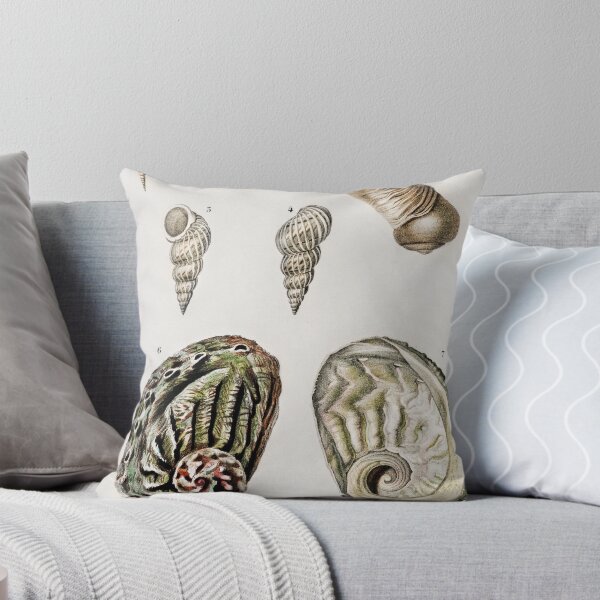 Item preview, Shell species vintage illustration designed and sold by Vintage Designs +.