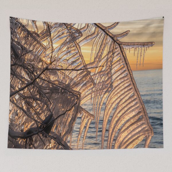Item preview, The Most Fantabulous Sun Shutters - Take Three  designed and sold by Georgia Mizuleva.