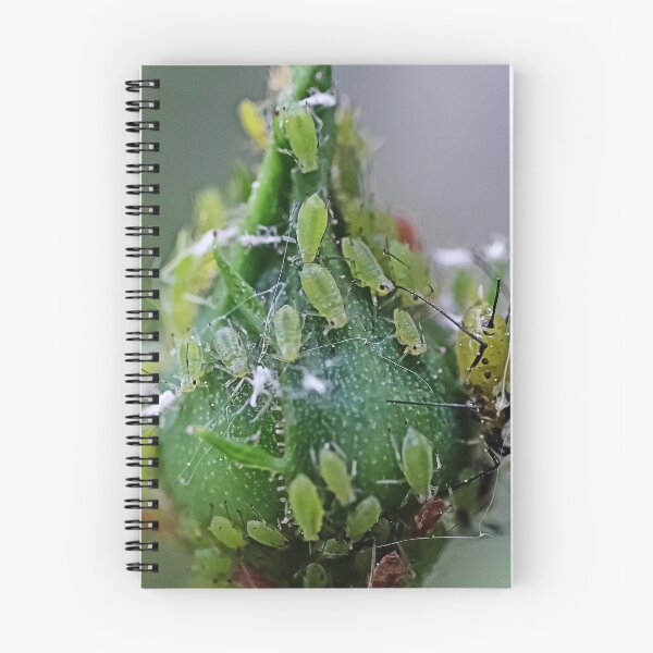 Item preview, Маcro Green Rose Aphid on Rose Bud - Funny Insects Entomology Gift  designed and sold by r-silver.