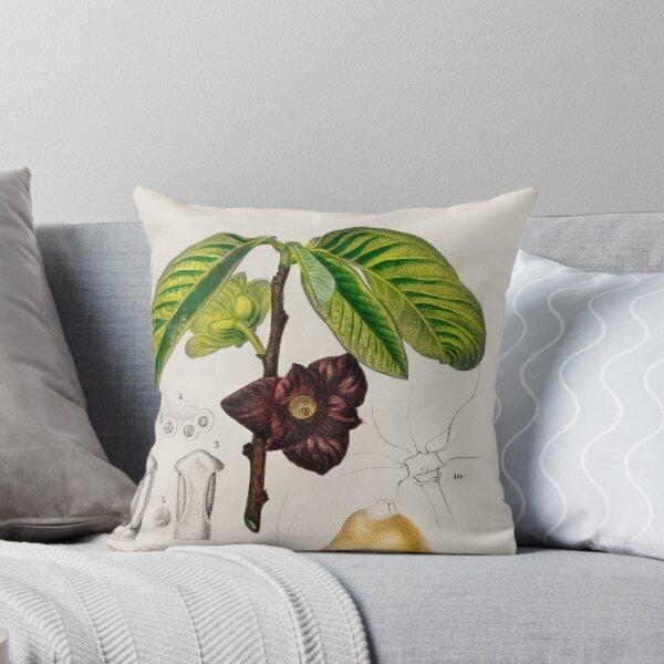 Artikelvorschau,  Botanical vintage illustration  entworfen und verkauft von Vintage Designs +.