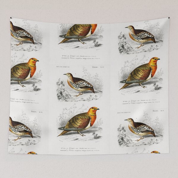Artikelvorschau, Types of grouse birds vintage illustration entworfen und verkauft von Vintage Designs +.