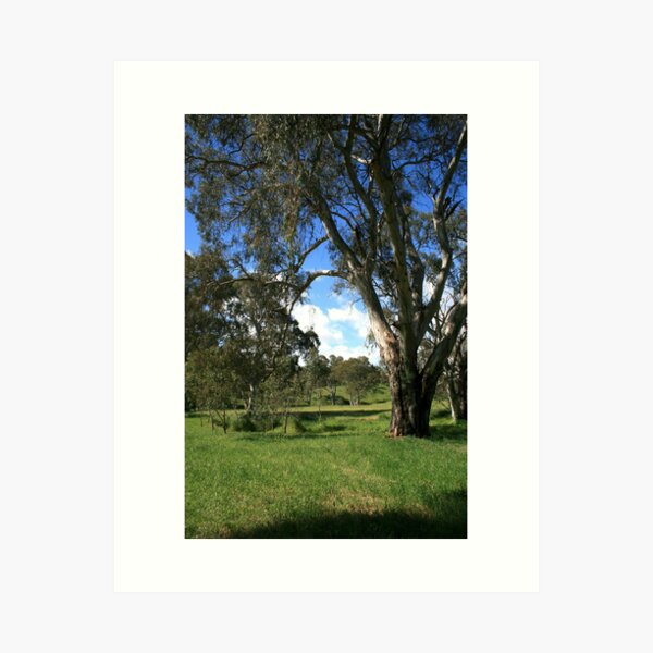 Item preview, Adelaide Hills designed and sold by stephendean.