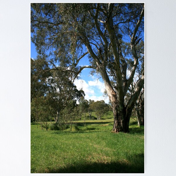 Item preview, Adelaide Hills designed and sold by stephendean.