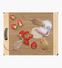 Strawberries and Cream Delight Photographic Print