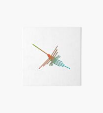 Colorful 3D Nazca Lines Hummingbird Art Board