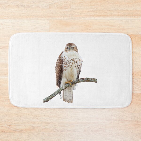 Item preview, Red-tailed Hawk - Perched designed and sold by James Cumming.