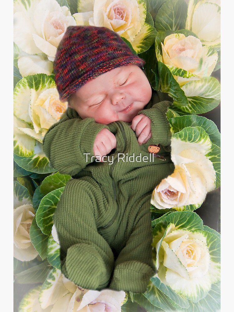Little Sprout by taos