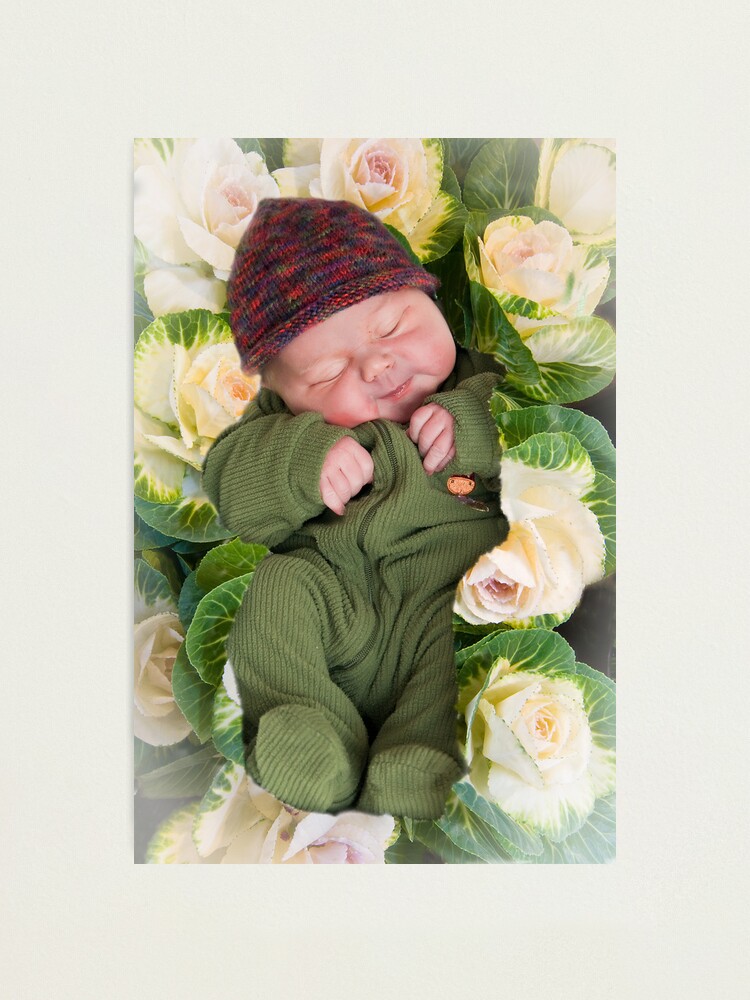 Alternate view of Little Sprout Photographic Print