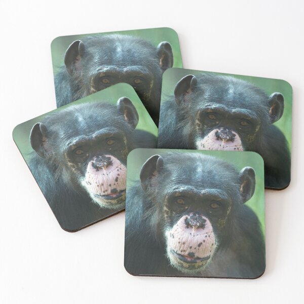 Item preview, Rosie The Chimpanzee designed and sold by rawshutterbug.
