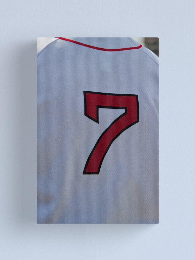 trot nixon jersey