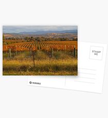 Across the vineyards just before sunset. Postcards