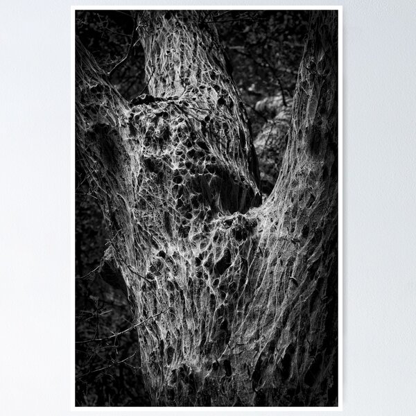 Artikelvorschau, Worm Wood 1 entworfen und verkauft von Cliff Worsham.
