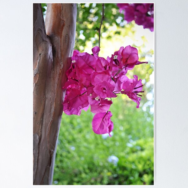 Item preview, Spring Moment designed and sold by csouzas.