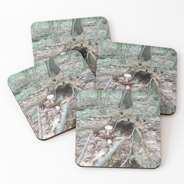 Item preview, Mushrooms in a Log designed and sold by melzie3.