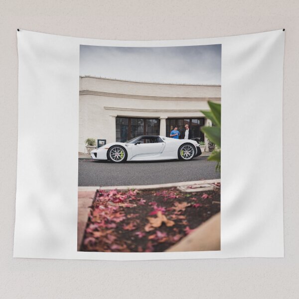Item preview, Spyder 2 designed and sold by JWKexotics.