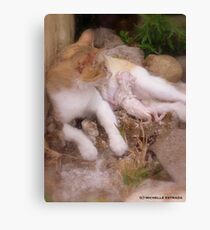 NEWBORN Canvas Print