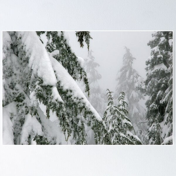 Item preview, Getting lost in the trees designed and sold by Anna Lisa Vegter.