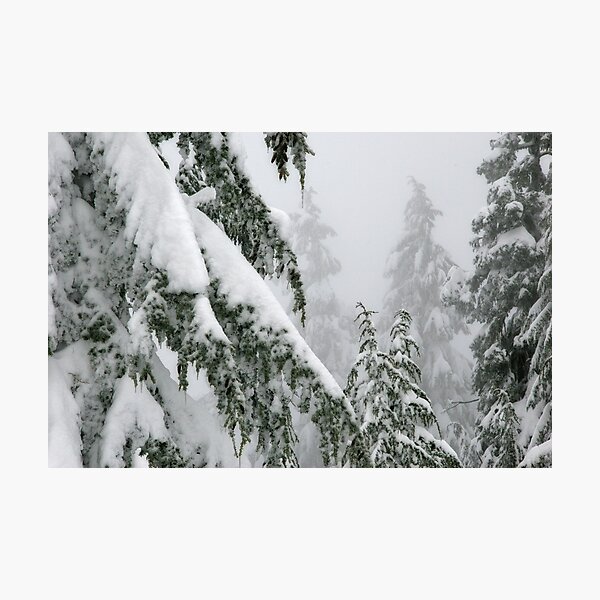 Artikelvorschau, Getting lost in the trees entworfen und verkauft von Anna Lisa Vegter.