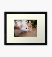 MARATHON Framed Print