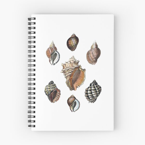 Item preview, Seashells designed and sold by nikolaimelnik.