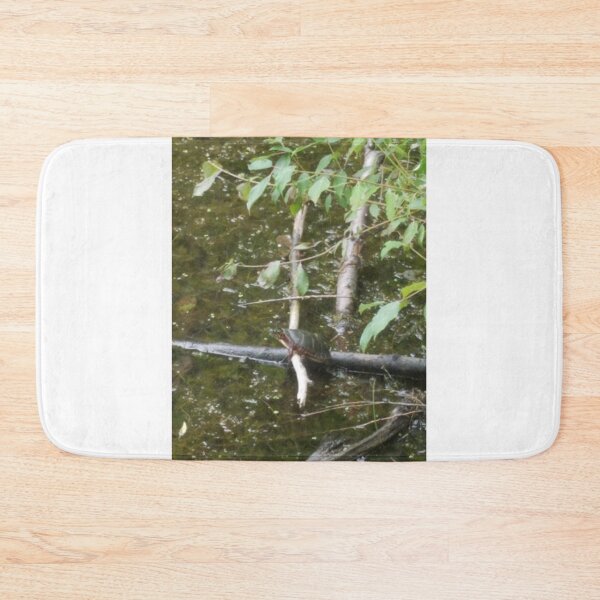 Item preview, Painted Turtle on a Log designed and sold by melzie3.