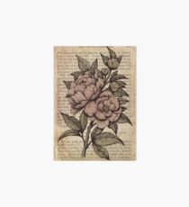 Botanicals - Peonies vintage Art Board Print