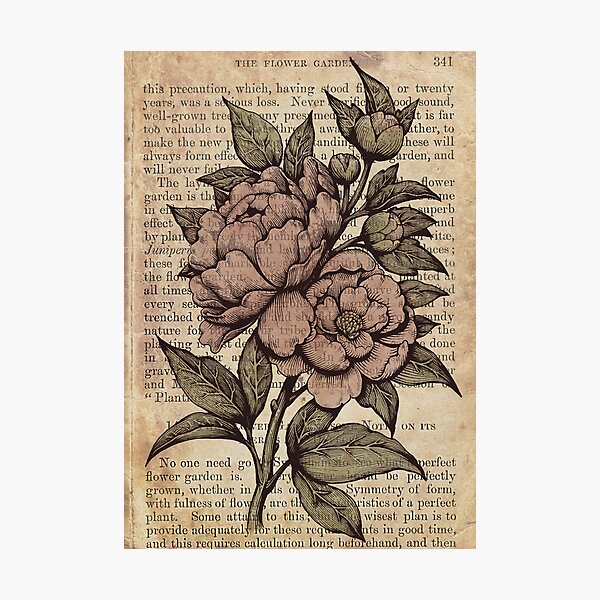 Vista previa del artículo con la obra «Botanicals - Peonies vintage», diseñado y vendido por medusadollmaker.