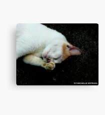 DRAMA Canvas Print