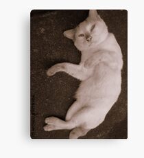TENDERNESS Canvas Print