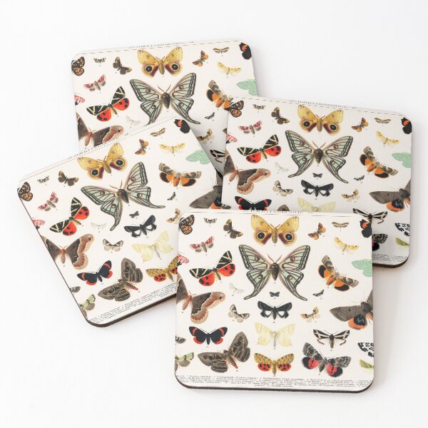 Item preview, 1894 Antique Butterfly Classification Illustration designed and sold by moonandcat.