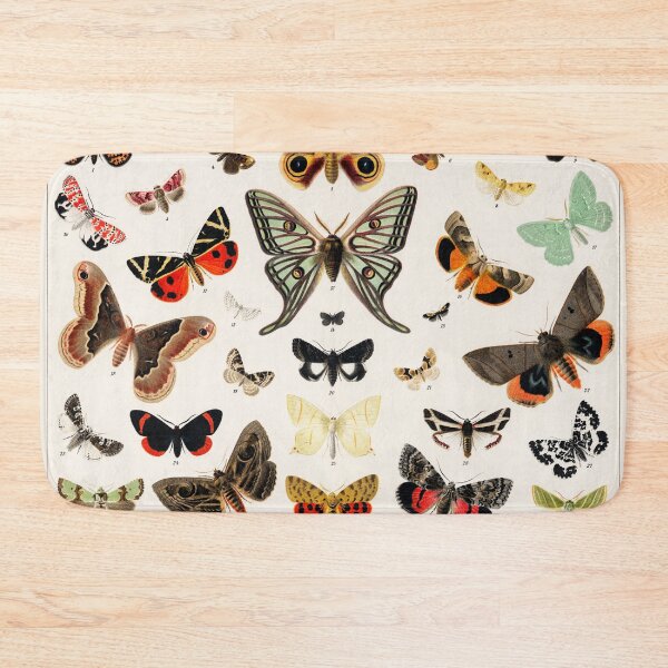 Item preview, 1894 Antique Butterfly Classification Illustration designed and sold by moonandcat.