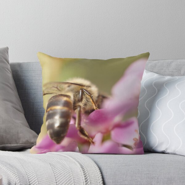 Item preview, Kiss My Abdomen!!! designed and sold by Michelle Lee Blatt.