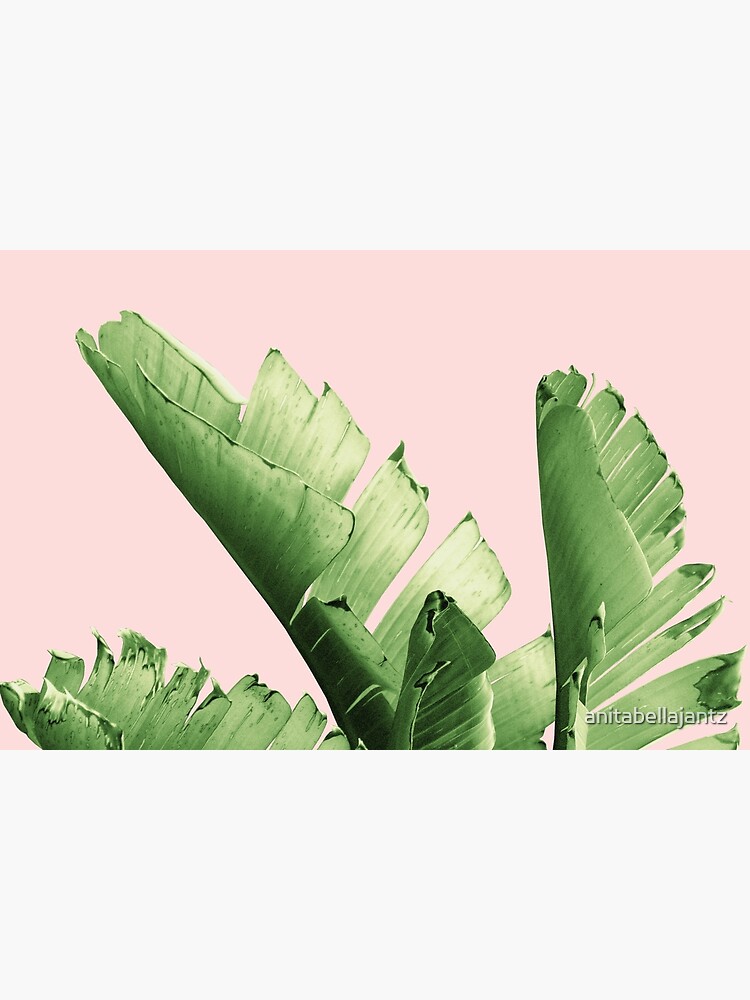 Blush Banana Leaves Dream #12 #tropical #decor #art by anitabellajantz