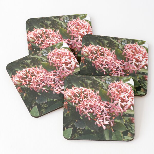 Item preview, Heart Shape Flower - Photography designed and sold by JumpingHelen.