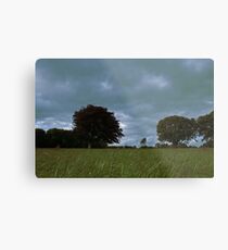 Castlegrove, Donegal Metal Print