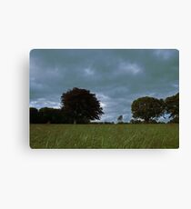 Castlegrove, Donegal Canvas Print