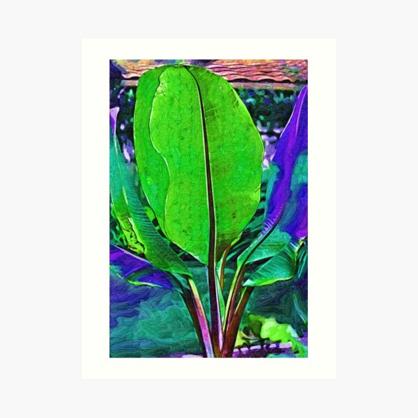 Abstract Banana Plant Art Print