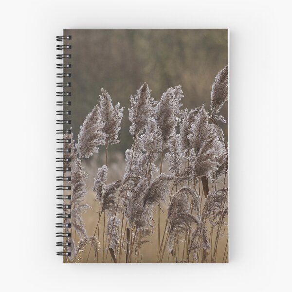 Item preview, Riverside walk. Rushes designed and sold by Bluesrose.