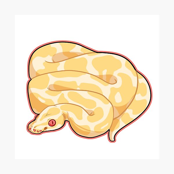 Item preview, Albino Ball Python designed and sold by cargorabbit.