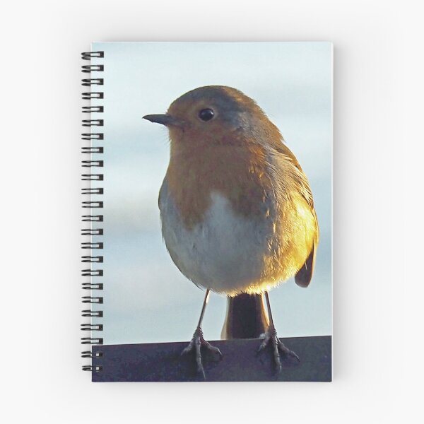 Item preview, Robin Redbreast at Lyme Regis Dorset UK designed and sold by lynn carter.