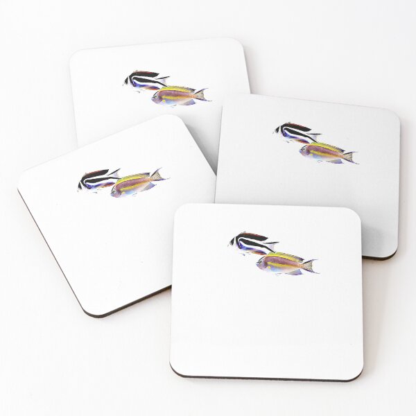 Item preview, Bellus Angelfish saltwater reef fish designed and sold by AngryOcean.