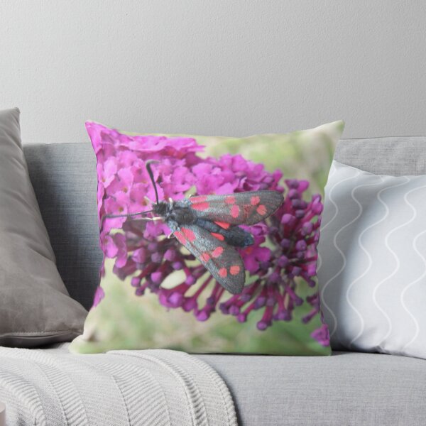 Item preview, Six Spot Burnet Moth on Purple Buddleia Photograph designed and sold by naturegallery.