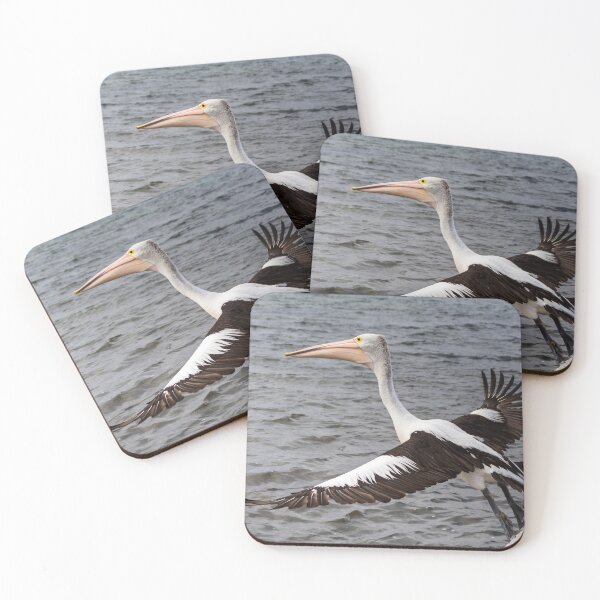 Item preview, Taking off designed and sold by Rainphotography.