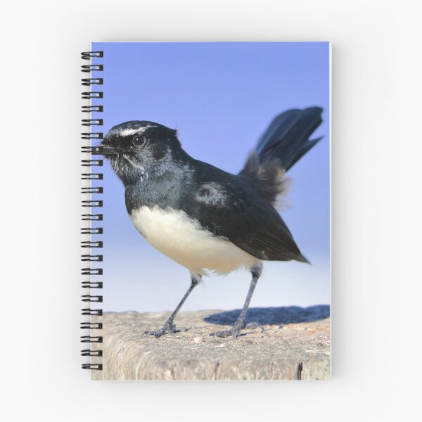 Item preview, Willie wagtail designed and sold by Doug Cliff.