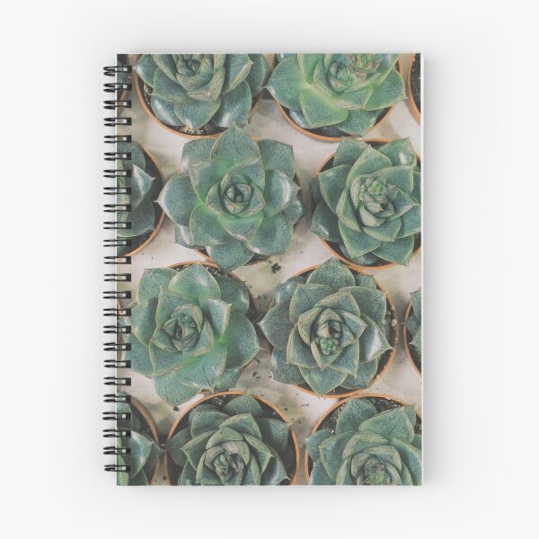 Item preview, Succulent Collection designed and sold by Cassia Beck.