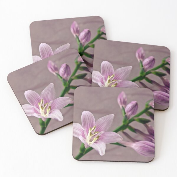 Item preview, Hosta Blossom And Buds designed and sold by Sandra Foster.