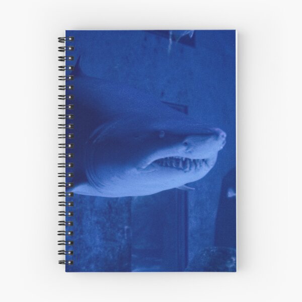 Item preview, Tiger Shark - Study I designed and sold by BritishYank.