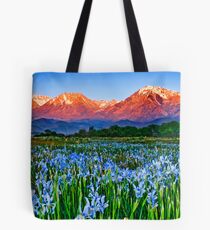 Iris Sunrise Tote Bag